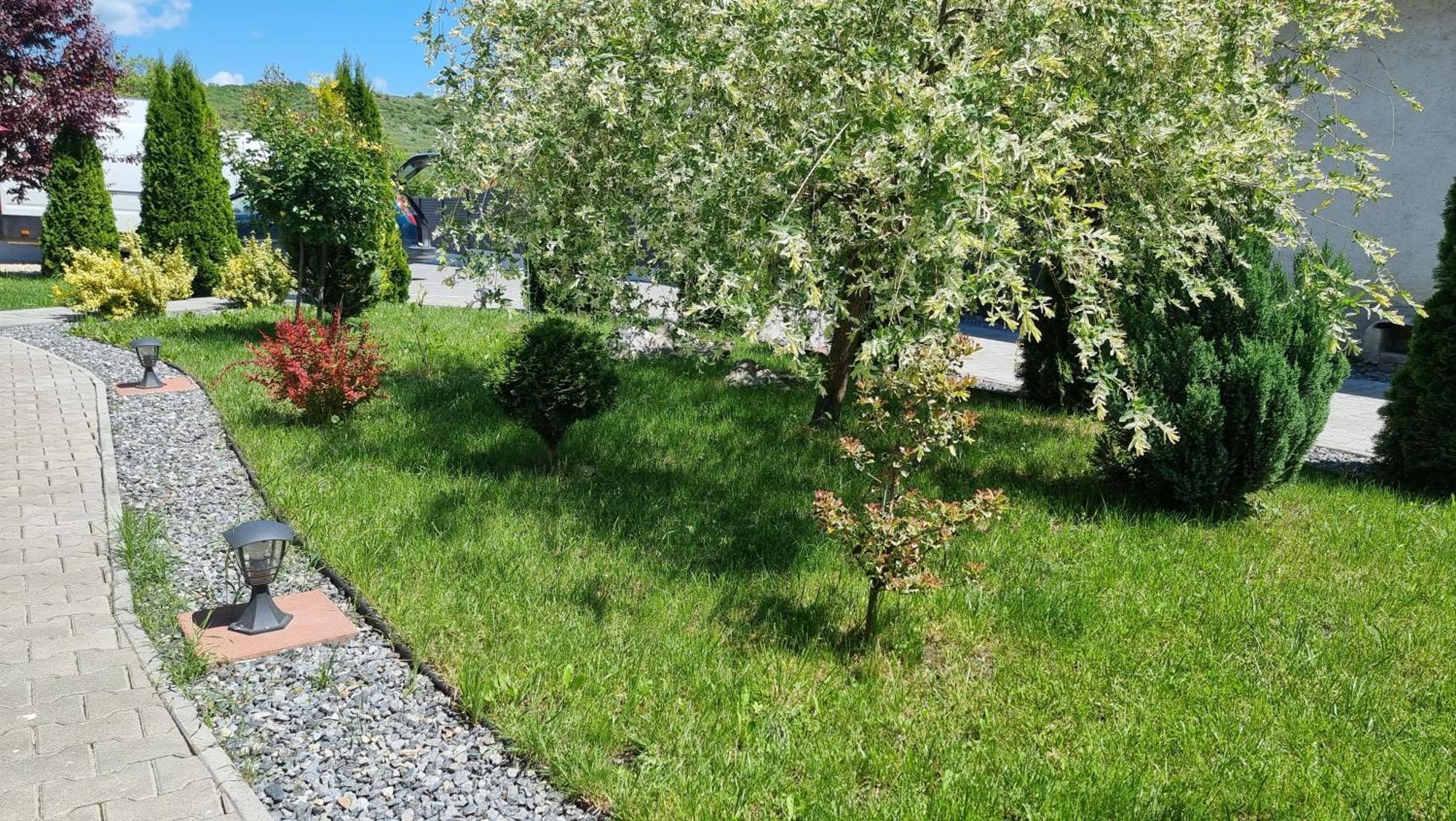 Salt Orchid Apartments Turda Exterior foto