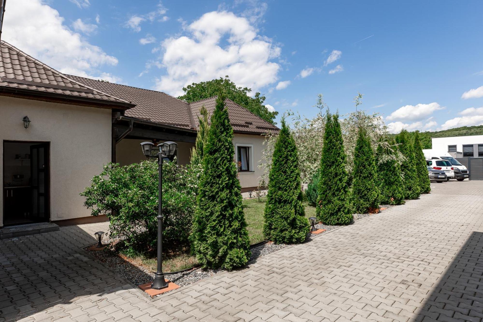 Salt Orchid Apartments Turda Exterior foto